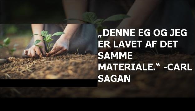 „Denne eg og jeg er lavet af det samme materiale.“ -Carl Sagan