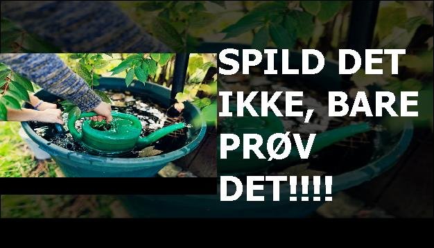 Spild det ikke, bare prøv det!!!!