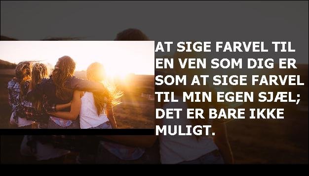 At sige farvel til en ven som dig er som at sige farvel til min egen sjæl; det er bare ikke muligt.