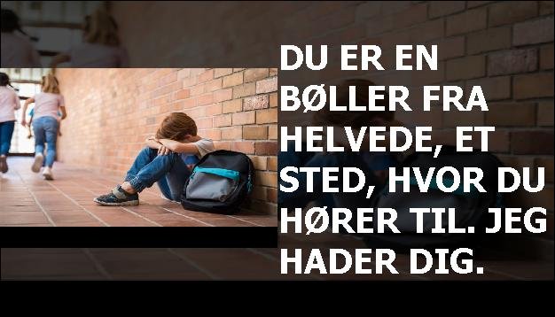 Du er en bøller fra helvede, et sted, hvor du hører til. Jeg hader dig.