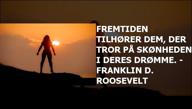 Fremtiden tilhører dem, der tror på skønheden i deres drømme. - Franklin D. Roosevelt