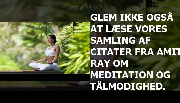 Glem ikke også at læse vores samling af citater fra Amit Ray om meditation og tålmodighed.