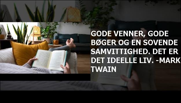 Gode venner, gode bøger og en sovende samvittighed. Det er det ideelle liv. -Mark Twain