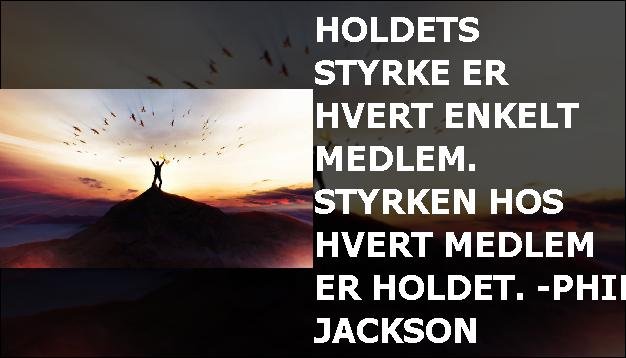 Holdets styrke er hvert enkelt medlem. Styrken hos hvert medlem er holdet. -Phil Jackson