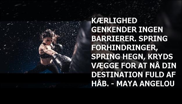 Kærlighed genkender ingen barrierer. Spring forhindringer, spring hegn, kryds vægge for at nå din destination fuld af håb. - Maya Angelou