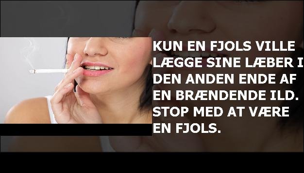 Kun en fjols ville lægge sine læber i den anden ende af en brændende ild. Stop med at være en fjols.