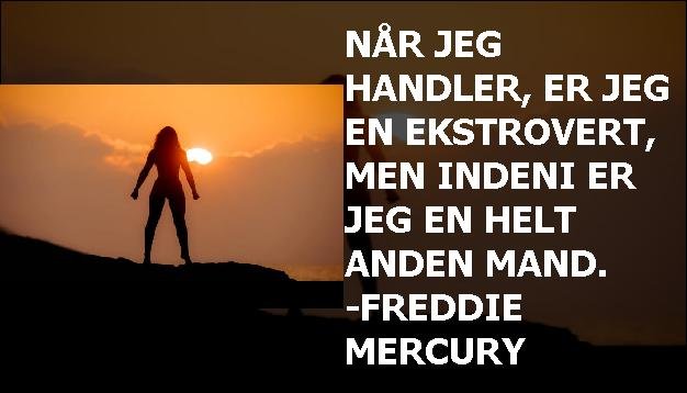 Når jeg handler, er jeg en ekstrovert, men indeni er jeg en helt anden mand. -Freddie Mercury